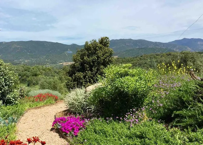 Locations I Carboni - 3 Tatil Evi